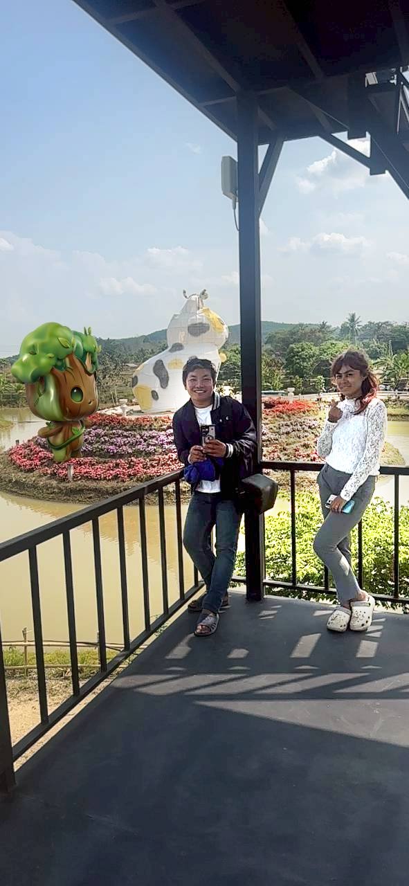 AR นาข้าว