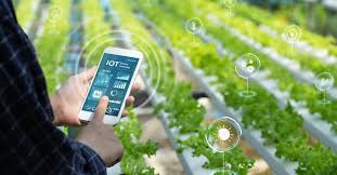 IoT sensors